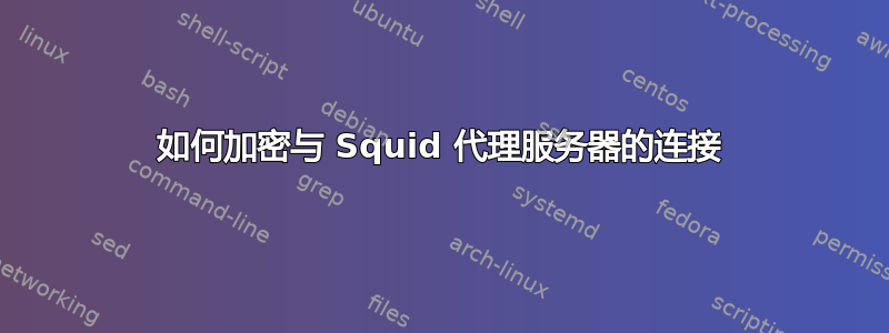 如何加密与 Squid 代理服务器的连接