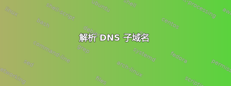 解析 DNS 子域名