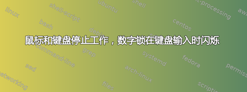 鼠标和键盘停止工作，数字锁在键盘输入时闪烁