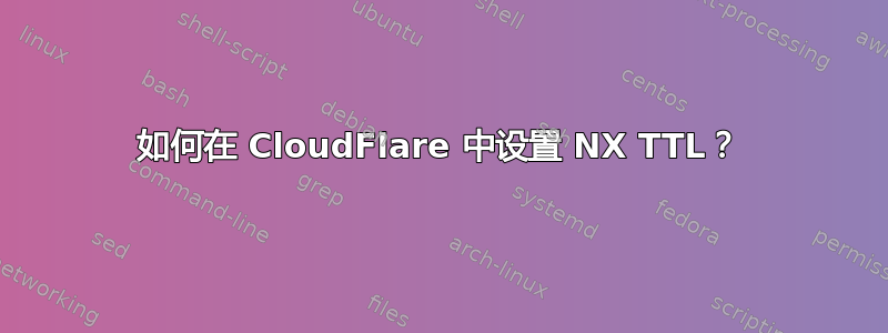 如何在 CloudFlare 中设置 NX TTL？