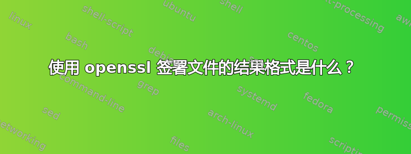 使用 openssl 签署文件的结果格式是什么？