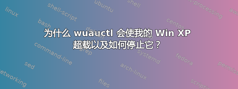 为什么 wuauctl 会使我的 Win XP 超载以及如何停止它？