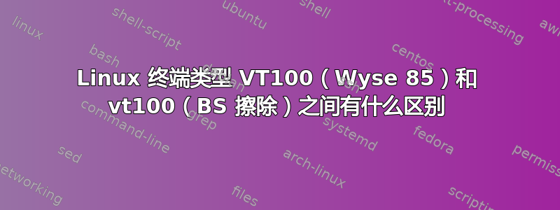 Linux 终端类型 VT100（Wyse 85）和 vt100（BS 擦除）之间有什么区别