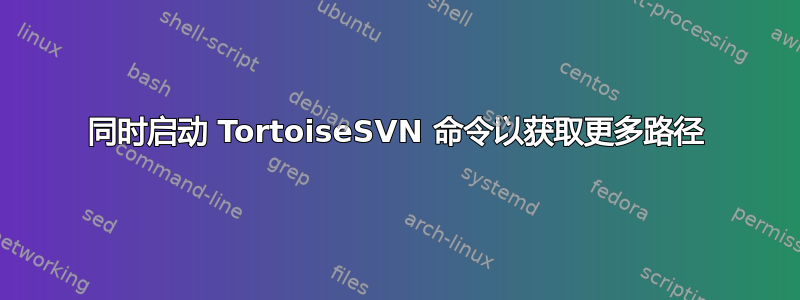 同时启动 TortoiseSVN 命令以获取更多路径