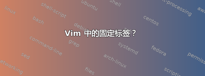 Vim 中的固定标签？