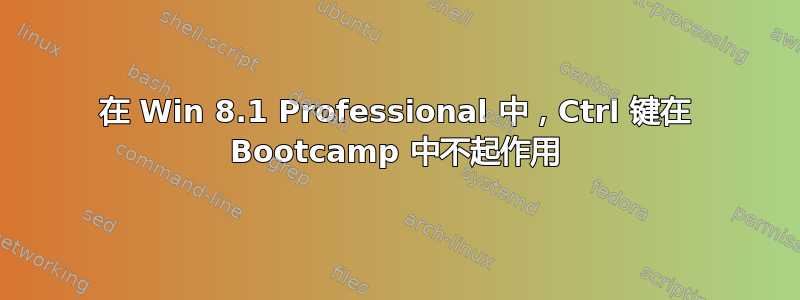 在 Win 8.1 Professional 中，Ctrl 键在 Bootcamp 中不起作用