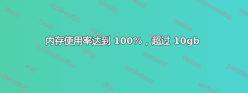 内存使用率达到 100%，超过 10gb