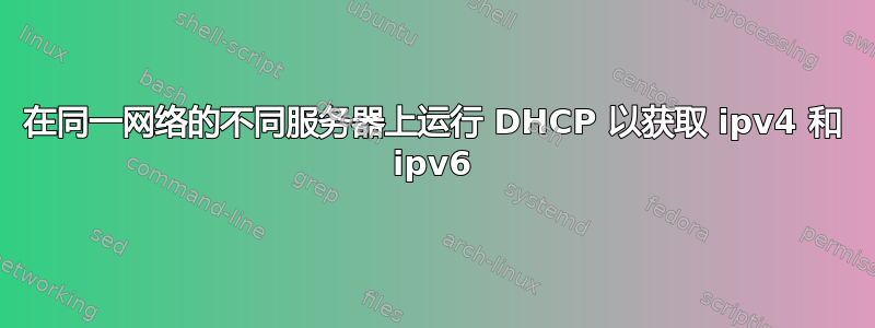 在同一网络的不同服务器上运行 DHCP 以获取 ipv4 和 ipv6