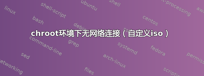 chroot环境下无网络连接（自定义iso）