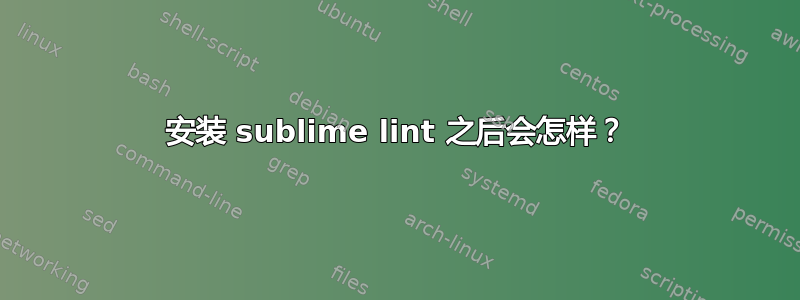 安装 sublime lint 之后会怎样？