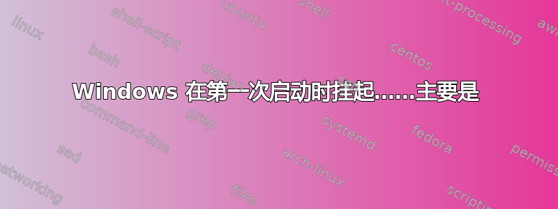 Windows 在第一次启动时挂起……主要是