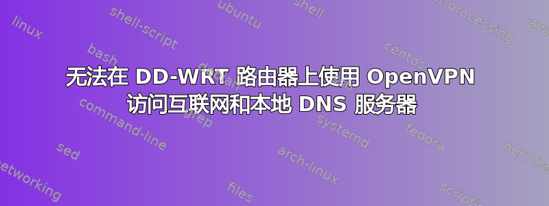 无法在 DD-WRT 路由器上使用 OpenVPN 访问互联网和本地 DNS 服务器