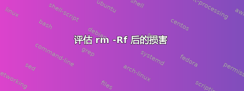 评估 rm -Rf 后的损害