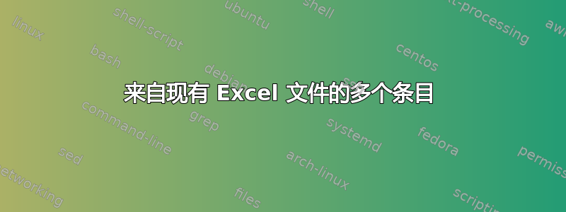 来自现有 Excel 文件的多个条目