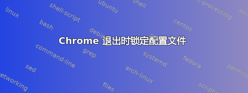 Chrome 退出时锁定配置文件