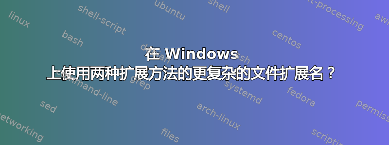 在 Windows 上使用两种扩展方法的更复杂的文件扩展名？