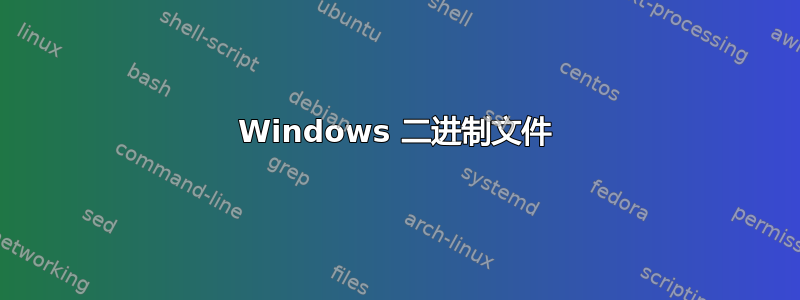 Windows 二进制文件