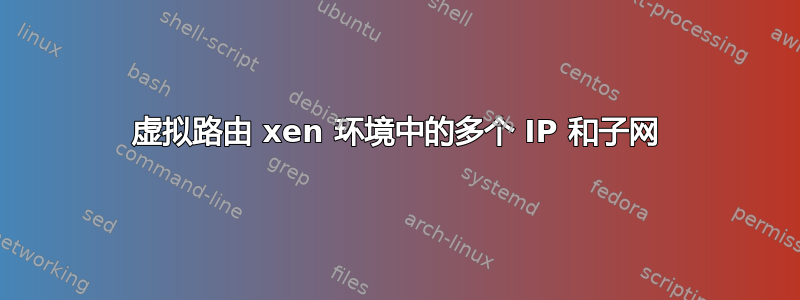 虚拟路由 xen 环境中的多个 IP 和子网