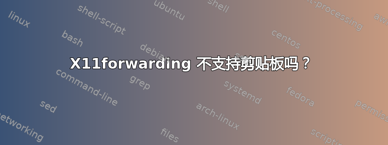 X11forwarding 不支持剪贴板吗？