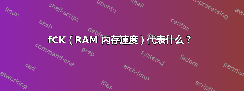 fCK（RAM 内存速度）代表什么？