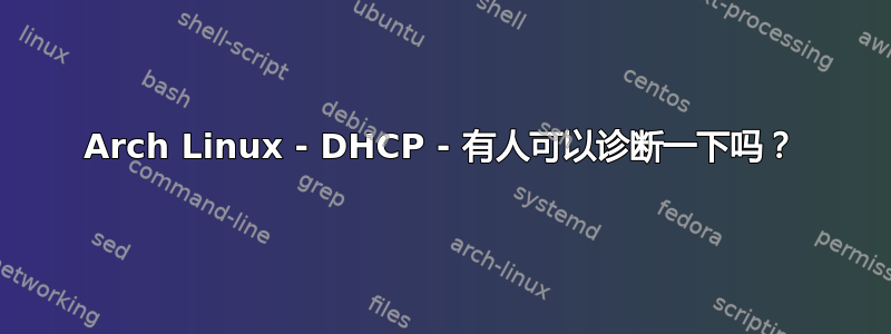 Arch Linux - DHCP - 有人可以诊断一下吗？