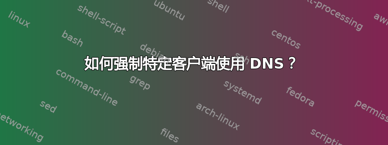 如何强制特定客户端使用 DNS？