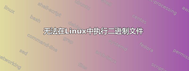 无法在Linux中执行二进制文件