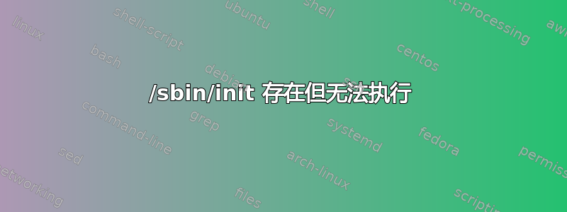 /sbin/init 存在但无法执行