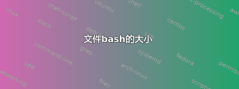 文件bash的大小