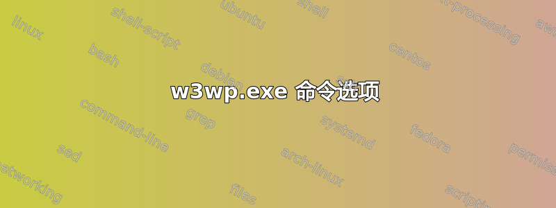 w3wp.exe 命令选项