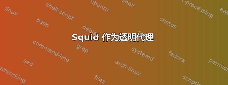 Squid 作为透明代理