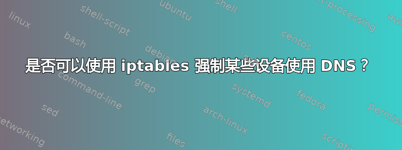 是否可以使用 iptables 强制某些设备使用 DNS？