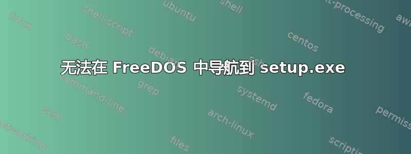 无法在 FreeDOS 中导航到 setup.exe