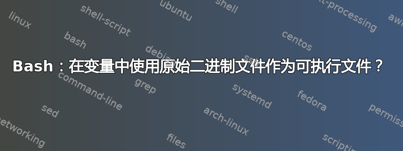 Bash：在变量中使用原始二进制文件作为可执行文件？