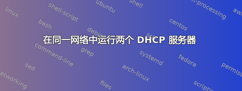 在同一网络中运行两个 DHCP 服务器