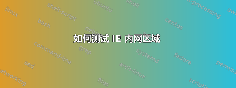 如何测试 IE 内网区域