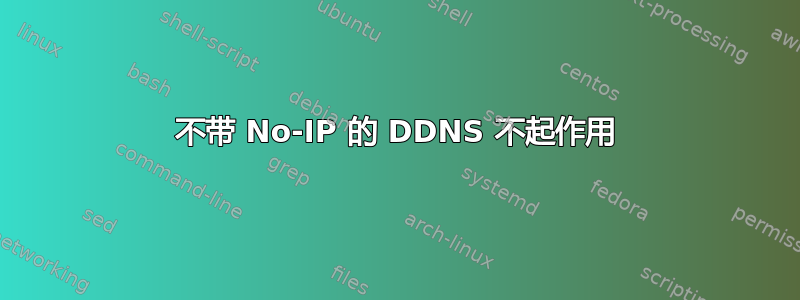 不带 No-IP 的 DDNS 不起作用