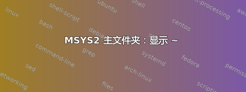 MSYS2 主文件夹：显示 ~