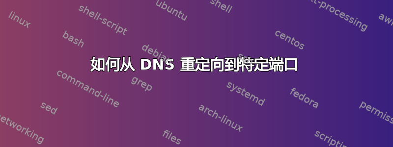 如何从 DNS 重定向到特定端口