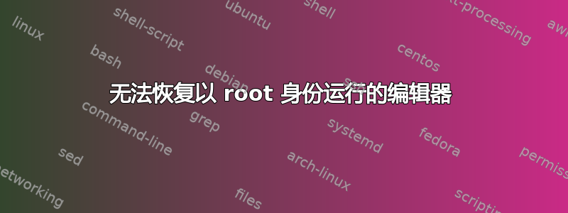 无法恢复以 root 身份运行的编辑器