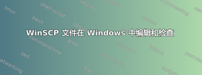 WinSCP 文件在 Windows 中编辑和检查