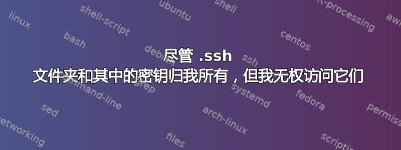 尽管 .ssh 文件夹和其中的密钥归我所有，但我无权访问它们