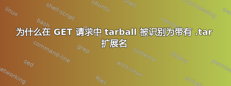 为什么在 GET 请求中 tarball 被识别为带有 .tar 扩展名