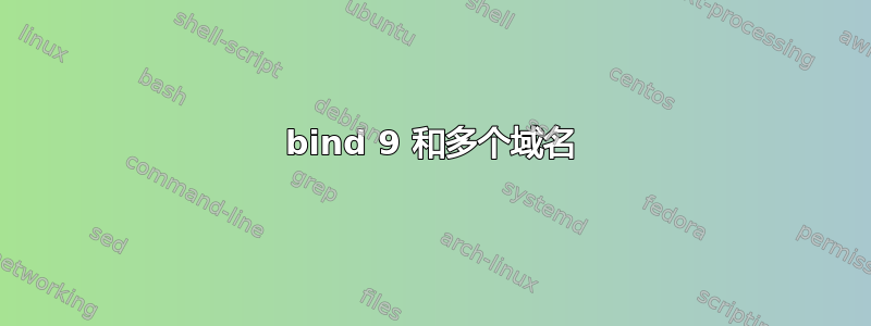 bind 9 和多个域名