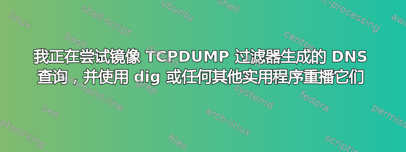 我正在尝试镜像 TCPDUMP 过滤器生成的 DNS 查询，并使用 dig 或任何其他实用程序重播它们