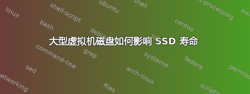 大型虚拟机磁盘如何影响 SSD 寿命