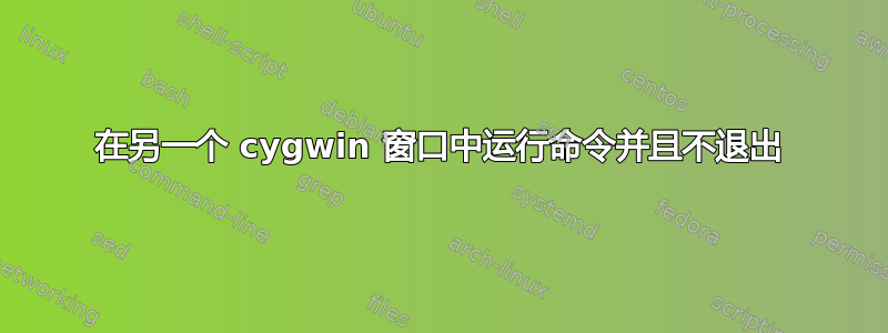 在另一个 cygwin 窗口中运行命令并且不退出