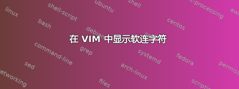 在 VIM 中显示软连字符