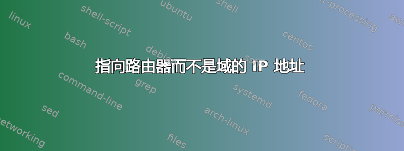 指向路由器而不是域的 IP 地址