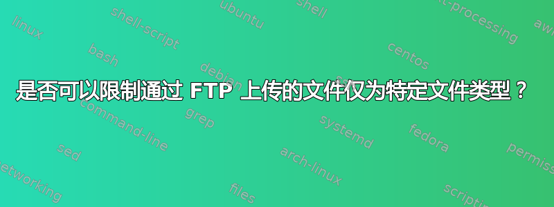 是否可以限制通过 FTP 上传的文件仅为特定文件类型？